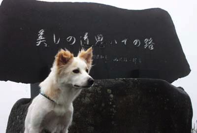 美ヶ原にて。
