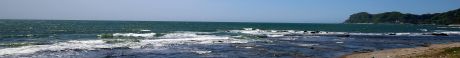 津軽海峡春景色だワン。