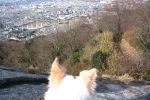 ̌炵͍ōIR郏I