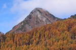 VRނĂ郏I