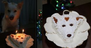 今年も誕生日を祝ってもらったワン!