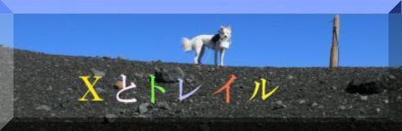 ׂẴn[g}[ÑI
