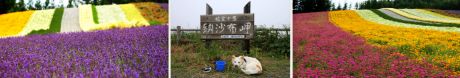 日本最東端の納沙布岬