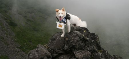 後方羊蹄山にのぼる
